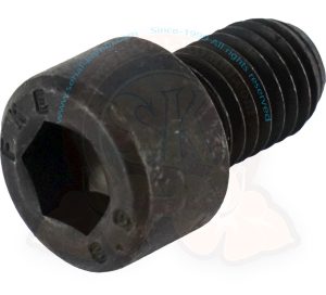 Vite M10x16 per giunto sferico superiore sospensione 5/1979-7/1992