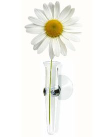 Blumenvase 11cm aus Kunststoff mit Saugnapf, Blume muß selbst gepflückt werden