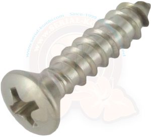 Vite maniglia porta anteriore interna 211867161B 8/1967-7/1979