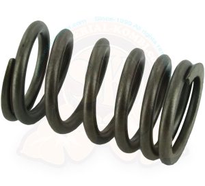 Valve spring 1500cc 1/1963-7/1967
