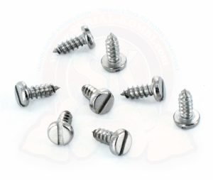 Viti inox per fissaggio guide vetro scorrevole porta anteriore (kit di 8) 1950-7/1967