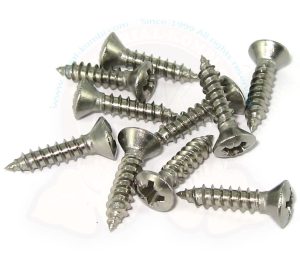 Vis à tête fraisée 2.9x13 pour panneaux intérieurs, revêtement de ciel de toit, rail de toit ouvrant, le sachet de 10, Westfalia 5/1979-7/1992