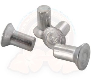 Vent window pivot rivet (4 parts)