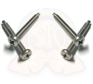 Viti inox per frecce anteriori Tipo 3 8/1969- o lenti fanali posteriori senza cornice in metallo US, Pescaccia (kit di 4)