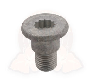 Vite di fissaggio per disco del freno, tipo XZN, M10x1x13x19 T5 4/2003/8/2015, T6 9/2015-