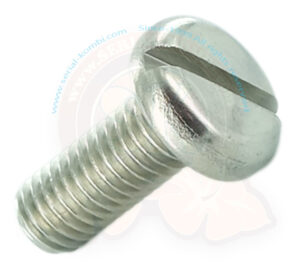 Lagerschraube für Klapplehne Mittelbank, Edelstahl, M8x20, 1950-7/1967 (einzeln)