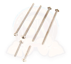 Viti inox per lenti fanali posteriori Maggiolino 1300cc-1500cc e Maggiolone 1302 8/1967-7/1972 (kit di 6)