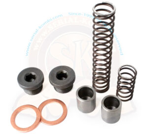 Spring and valve kit for oil pressure, 1600cc dual port 8/1970-7/1979