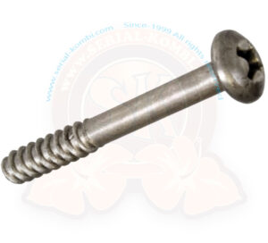 Rear lens screw, stainless steel, thread for plastic, 4x30, Bus 8/1971-7/1979 (per unit)