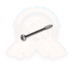 Vite inox per lenti fanali posteriori, M4x45 mm, Maggiolino 8/1961-7/1967 (1200cc -7/1972), 8/1972-7/1975, Pescaccia USA - N0141341 (al pezzo)