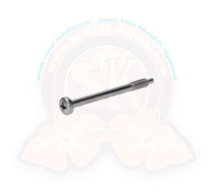 Vite inox per lenti fanali posteriori, M4x45 mm, Maggiolino 8/1961-7/1967 (1200cc -7/1972), 8/1972-7/1975, Pescaccia USA (al pezzo)